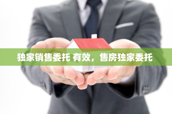 獨(dú)家銷(xiāo)售委托 有效，售房獨(dú)家委托 