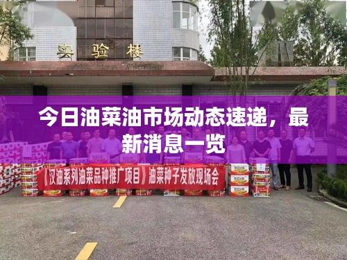 今日油菜油市場(chǎng)動(dòng)態(tài)速遞，最新消息一覽