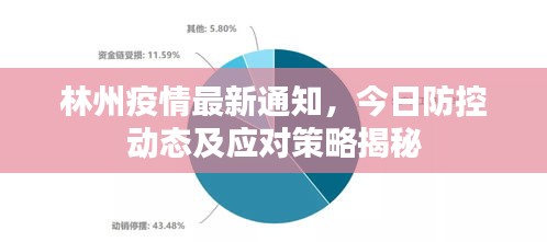 林州疫情最新通知，今日防控動態(tài)及應(yīng)對策略揭秘