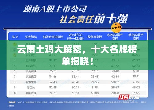 云南土雞大解密，十大名牌榜單揭曉！