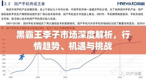 黑霸王李子市場深度解析，行情趨勢、機遇與挑戰(zhàn)