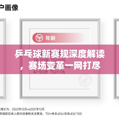 乒乓球新賽規(guī)深度解讀，賽場變革一網(wǎng)打盡