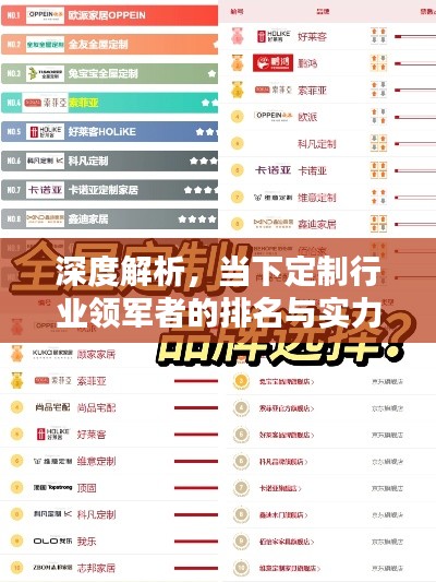 深度解析，當下定制行業(yè)領軍者的排名與實力比拼！