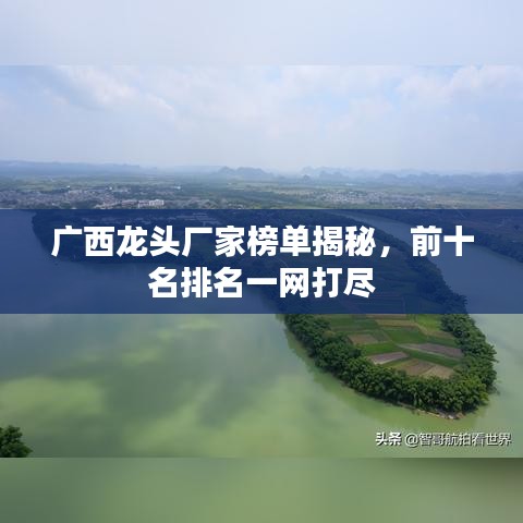 廣西龍頭廠家榜單揭秘，前十名排名一網(wǎng)打盡