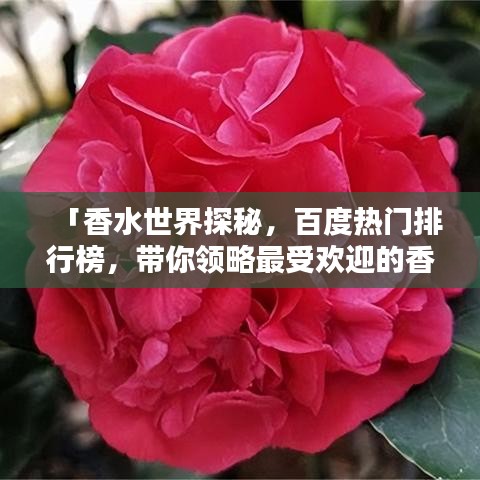 「香水世界探秘，百度熱門排行榜，帶你領(lǐng)略最受歡迎的香水香氣」