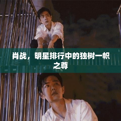 肖戰(zhàn)，明星排行中的獨(dú)樹一幟之尊
