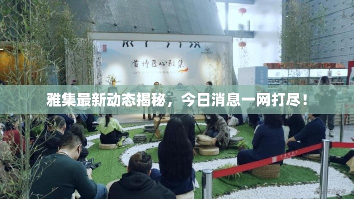 雅集最新動態(tài)揭秘，今日消息一網(wǎng)打盡！
