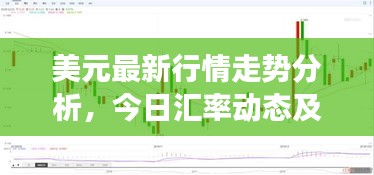 美元最新行情走勢(shì)分析，今日匯率動(dòng)態(tài)及市場(chǎng)解讀