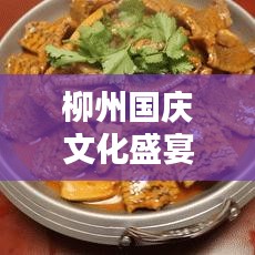 柳州國慶文化盛宴，城市歡慶佳節(jié)，活力四溢繁榮新篇章