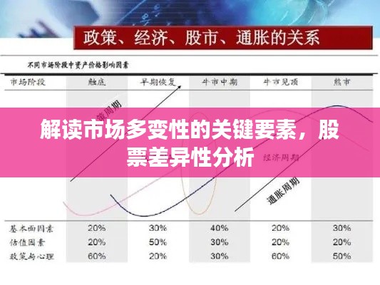 解讀市場多變性的關(guān)鍵要素，股票差異性分析