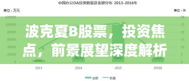 波克夏B股票，投資焦點(diǎn)，前景展望深度解析