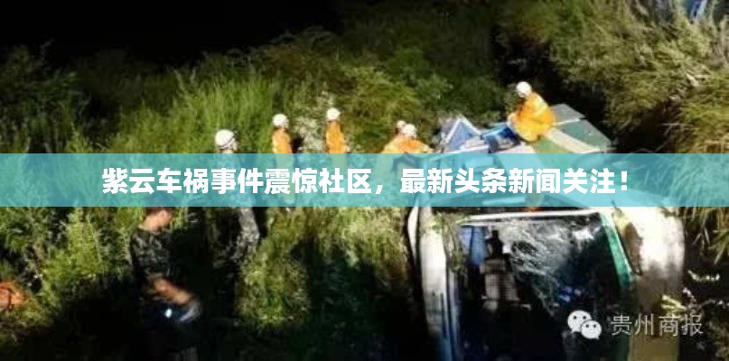 紫云車禍?zhǔn)录痼@社區(qū)，最新頭條新聞關(guān)注！