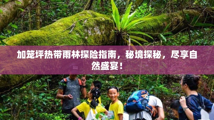 加籠坪熱帶雨林探險指南，秘境探秘，盡享自然盛宴！