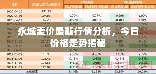 永城麥價最新行情分析，今日價格走勢揭秘