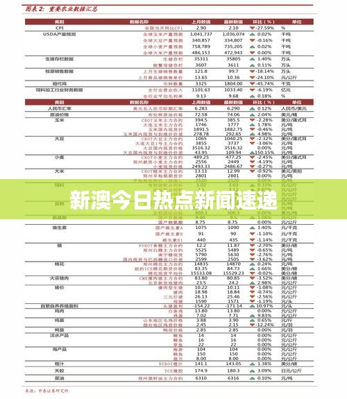 新澳今日熱點新聞速遞