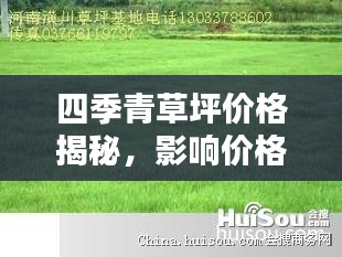 四季青草坪價格揭秘，影響價格的因素全解析