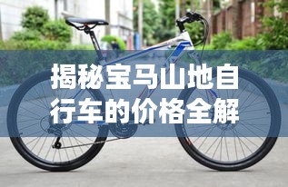 揭秘寶馬山地自行車的價格全解析！