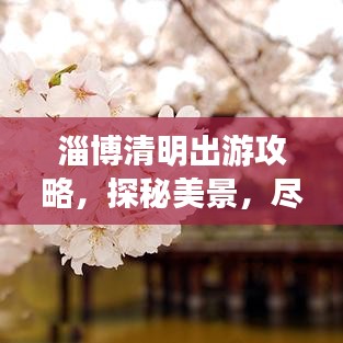 淄博清明出游攻略，探秘美景，盡享文化盛宴！