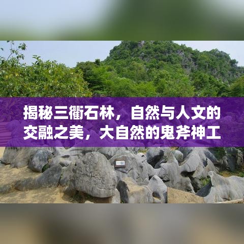 揭秘三衢石林，自然與人文的交融之美，大自然的鬼斧神工欣賞