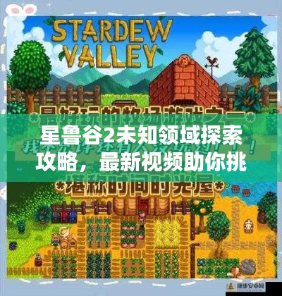 星魯谷2未知領(lǐng)域探索攻略，最新視頻助你挑戰(zhàn)極限！