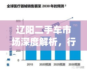 遼陽二手車市場深度解析，行情、趨勢與前景展望
