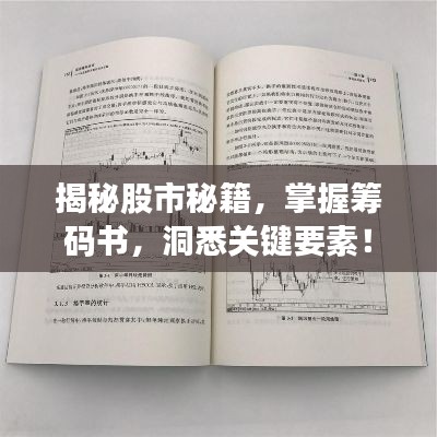 揭秘股市秘籍，掌握籌碼書，洞悉關鍵要素！
