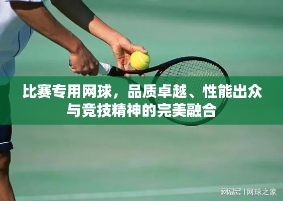 比賽專用網(wǎng)球，品質(zhì)卓越、性能出眾與競技精神的完美融合