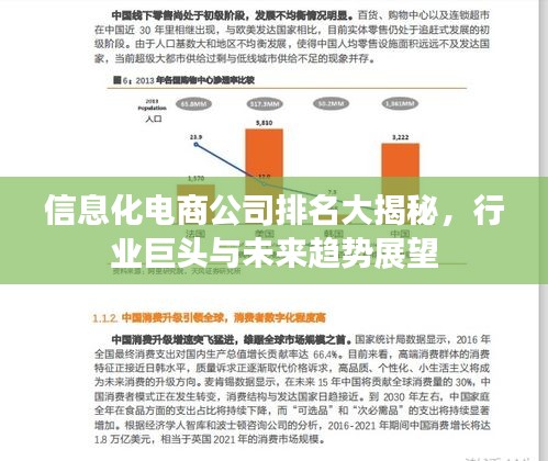 信息化電商公司排名大揭秘，行業(yè)巨頭與未來趨勢展望