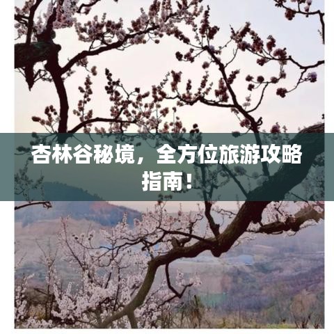 杏林谷秘境，全方位旅游攻略指南！