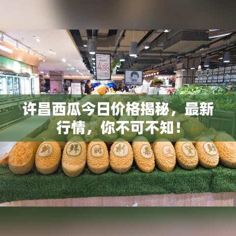 許昌西瓜今日價格揭秘，最新行情，你不可不知！