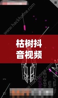 枯樹抖音視頻，探索最新版視頻世界，體驗(yàn)獨(dú)特魅力