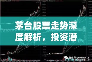 張狂妄行