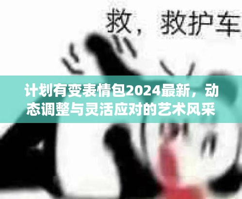 計(jì)劃有變表情包2024最新，動(dòng)態(tài)調(diào)整與靈活應(yīng)對(duì)的藝術(shù)風(fēng)采