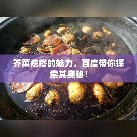 芥菜疙瘩的魅力，百度帶你探索其奧秘！