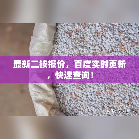 最新二銨報(bào)價(jià)，百度實(shí)時(shí)更新，快速查詢！
