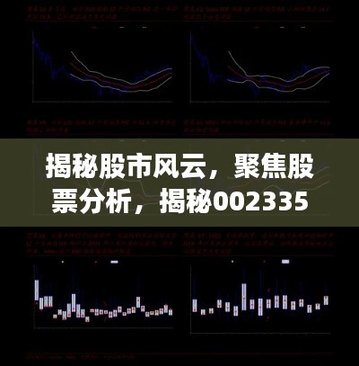 揭秘股市風(fēng)云，聚焦股票分析，揭秘002335股票動(dòng)態(tài)與前景展望