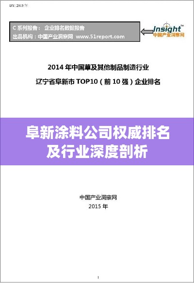 阜新涂料公司權威排名及行業(yè)深度剖析