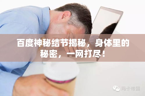 百度神秘結(jié)節(jié)揭秘，身體里的秘密，一網(wǎng)打盡！