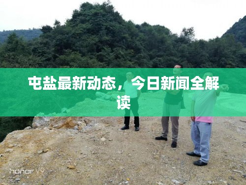 屯鹽最新動(dòng)態(tài)，今日新聞全解讀