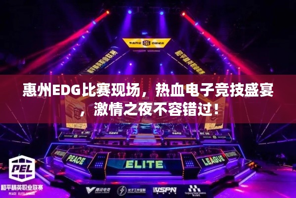 惠州EDG比賽現(xiàn)場(chǎng)，熱血電子競(jìng)技盛宴，激情之夜不容錯(cuò)過！