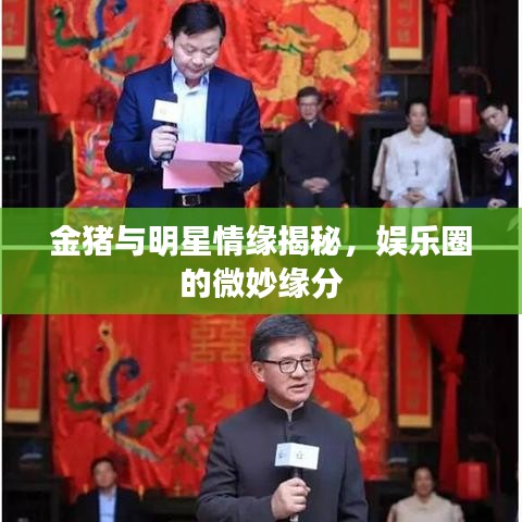 金豬與明星情緣揭秘，娛樂(lè)圈的微妙緣分