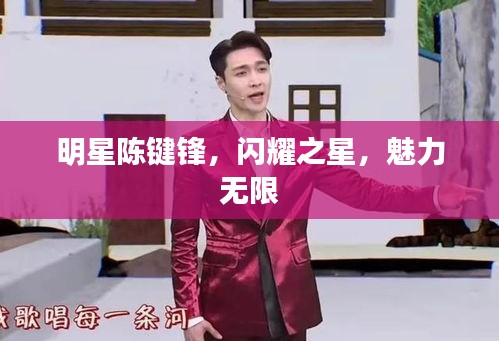 明星陳鍵鋒，閃耀之星，魅力無限