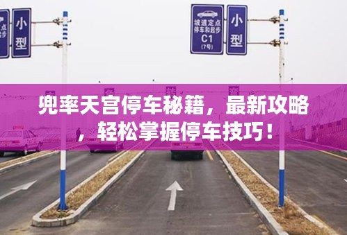兜率天宮停車秘籍，最新攻略，輕松掌握停車技巧！