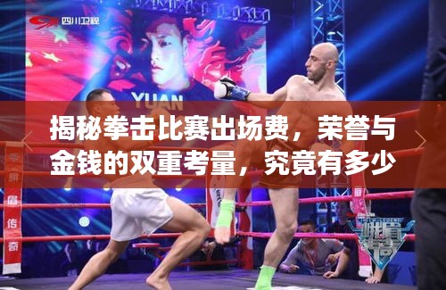 揭秘拳擊比賽出場費(fèi)，榮譽(yù)與金錢的雙重考量，究竟有多少？