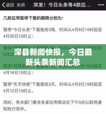 囫圇吞棗